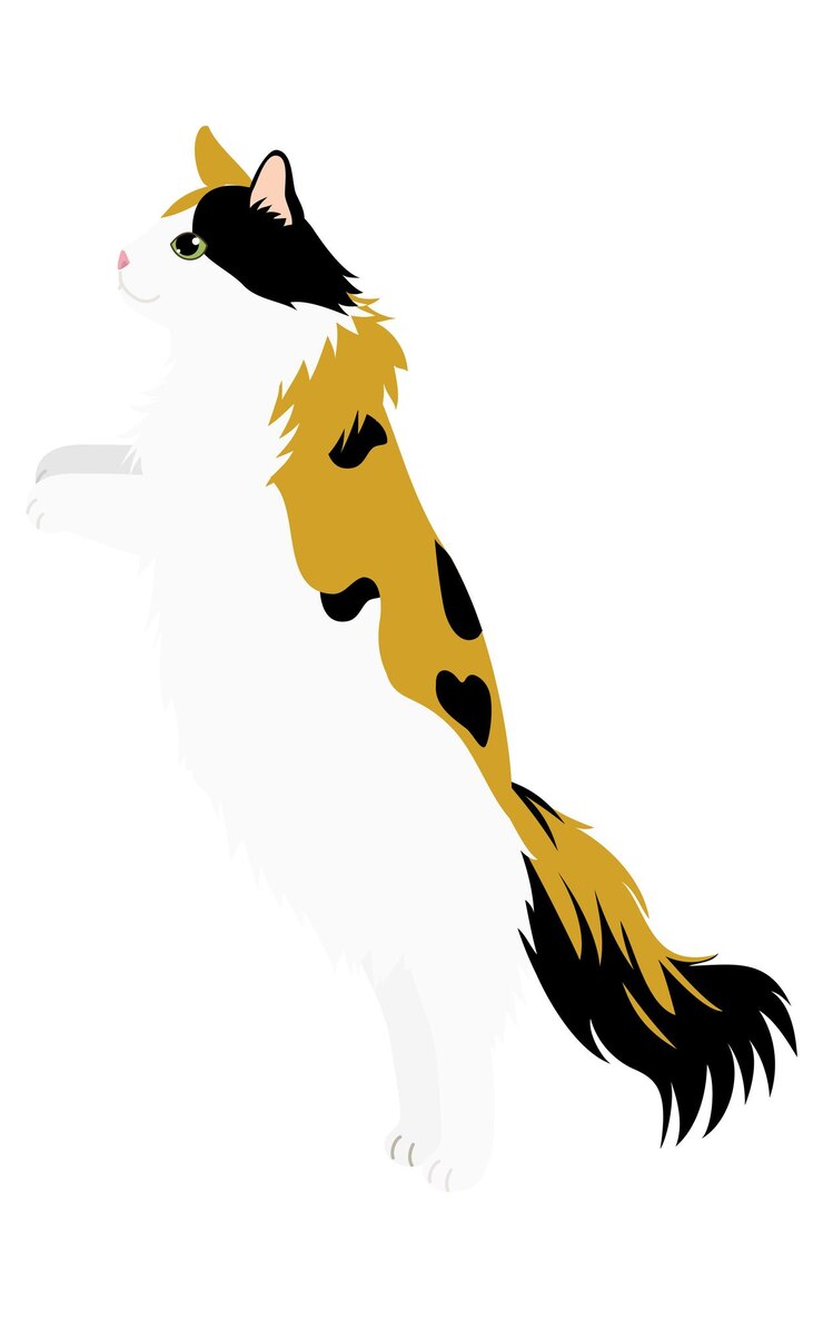 Vector ilustración de un gato de pelo largo, un gato del bosque noruego de concha de tortuga, de pie en sus patas traseras.