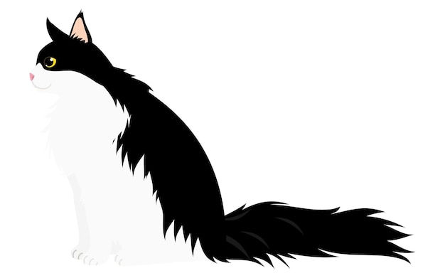 Ilustración de un gato de pelo largo un Maine Coon bicolor blanco y negro sentado y mirando hacia los lados