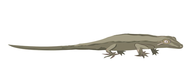 Ilustración del geco garogyle