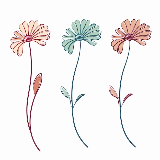 Ilustración de gerbera meticulosamente elaborada en formato vectorial