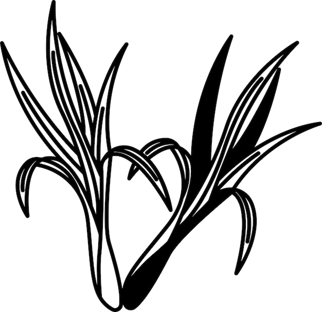 Ilustración de glifo de hierba de limón y vector de línea