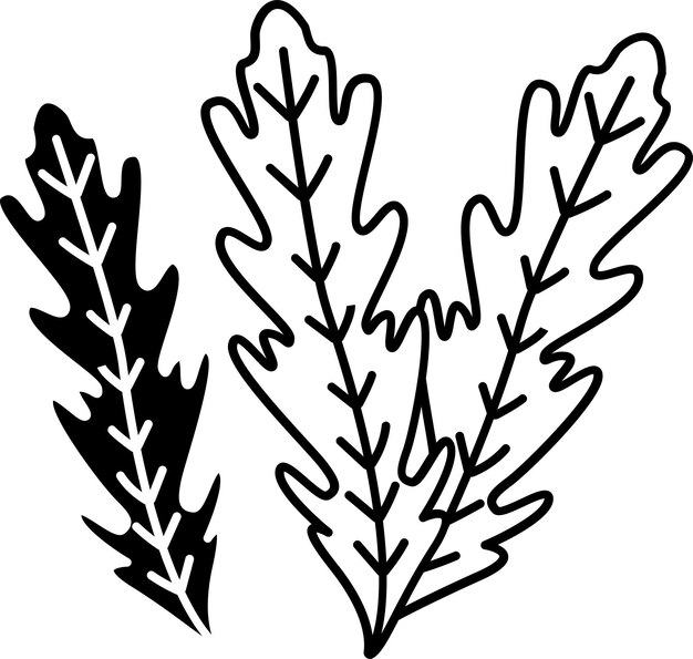 Ilustración del glifo de la rúcula y del vector de líneas