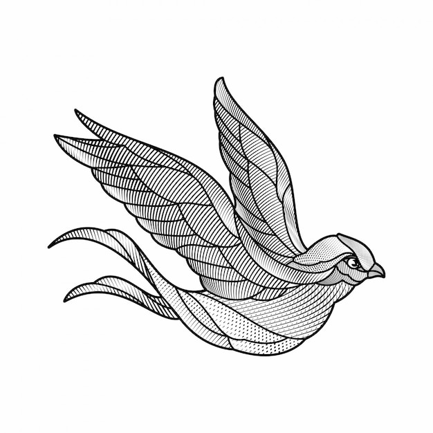 Ilustración de golondrina de estilo de grabado