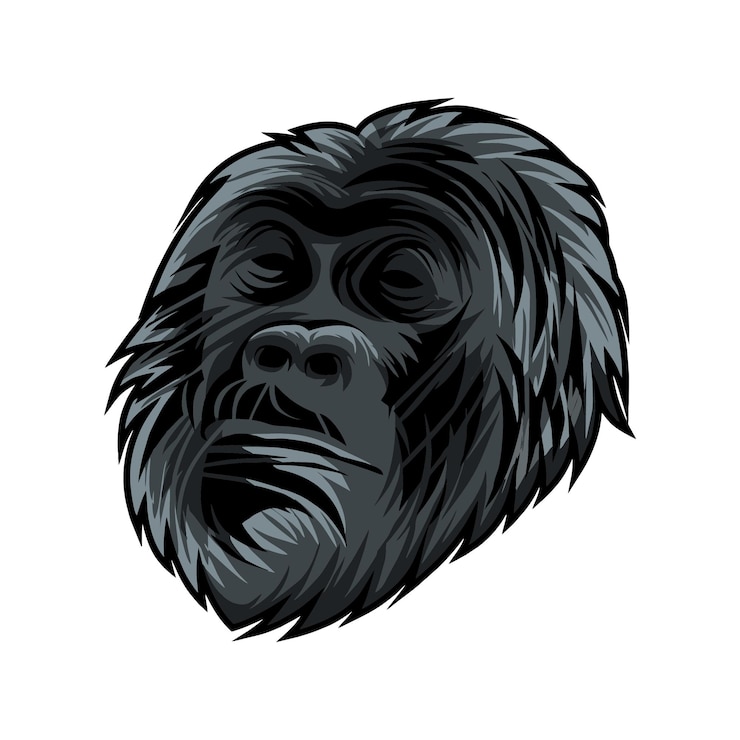 Vector ilustración de gorila con fondo blanco