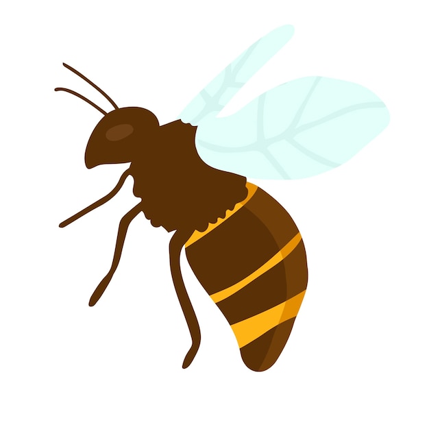 Ilustración de grabado vectorial de abeja melífera sobre fondo blanco dibujo a mano plano