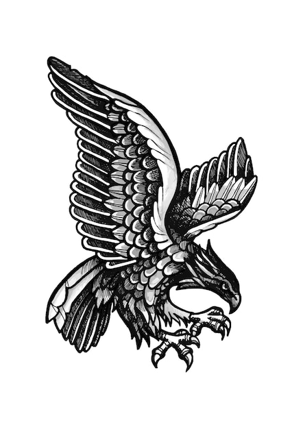 Vector ilustración gráfica en blanco y negro de un águila en vuelo vector