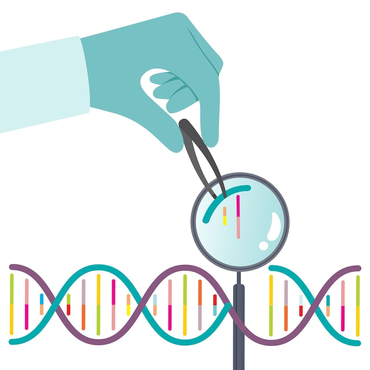 Vector ilustración gráfica de edición de genes y vectores de investigación del adn
