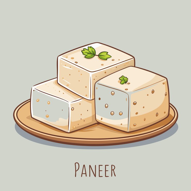Vector ilustración gráfica del vector de alimentos lácteos de paneer