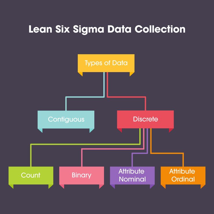 Vector ilustración gráfica del vector de negocio de la recopilación de datos lean six sigma