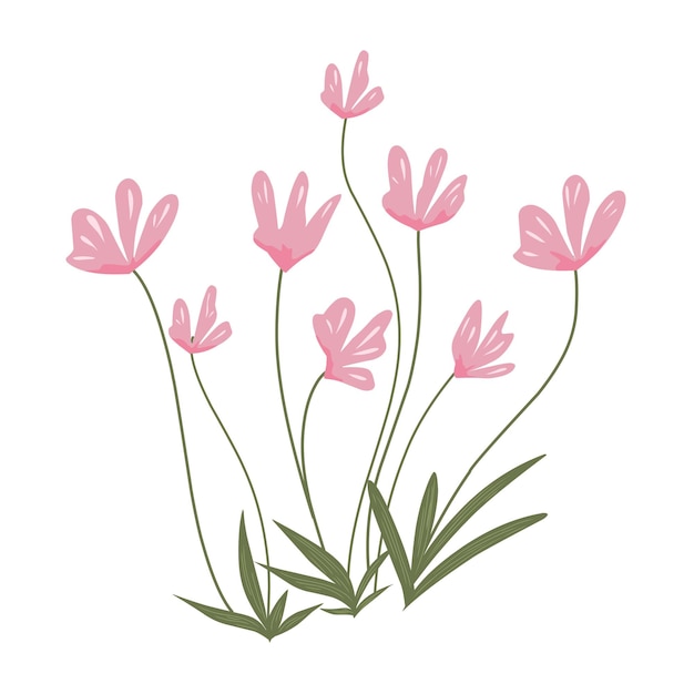 Ilustración gráfica vectorial de flores rosadas flores silvestres flores campo aislado