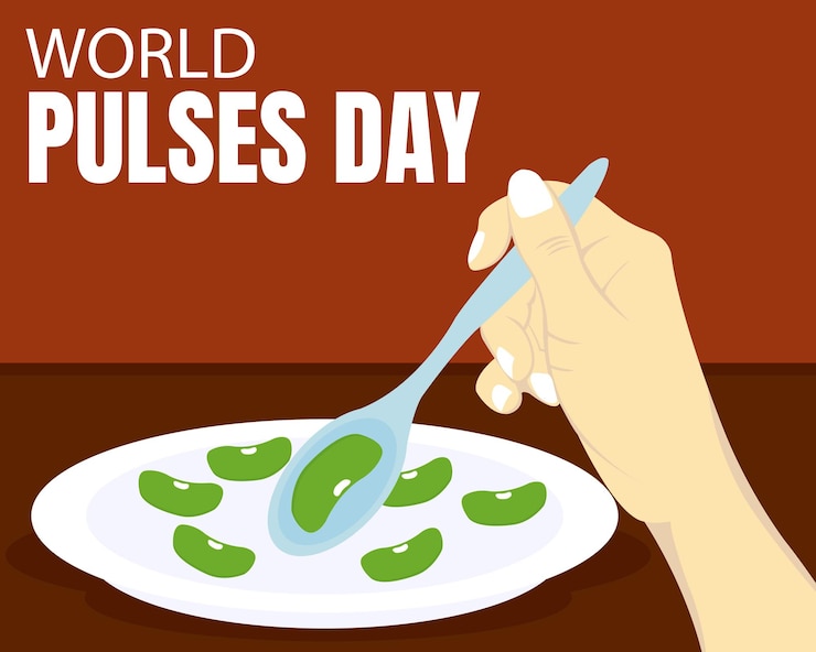 Vector ilustración gráfica vectorial de las manos tomar frijoles verdes en un plato con una cuchara