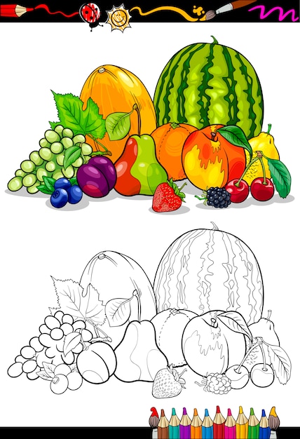 Vector ilustración de grupo de frutas para colorear libro