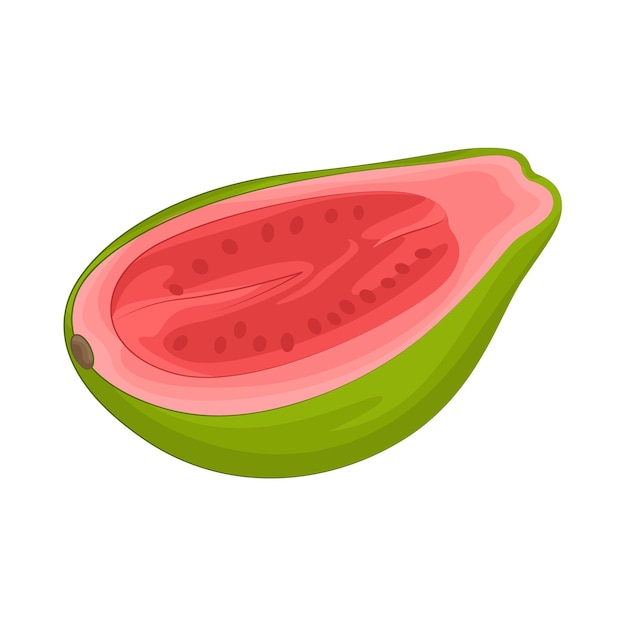 Ilustración de la guayaba