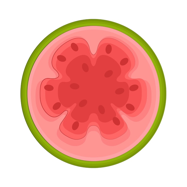 Ilustración de la guayaba
