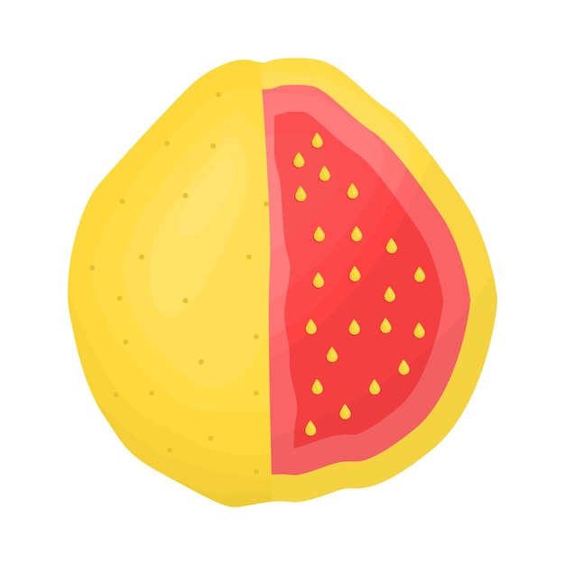 Vector ilustración de la guayaba