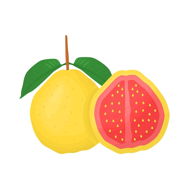 Vector ilustración de la guayaba