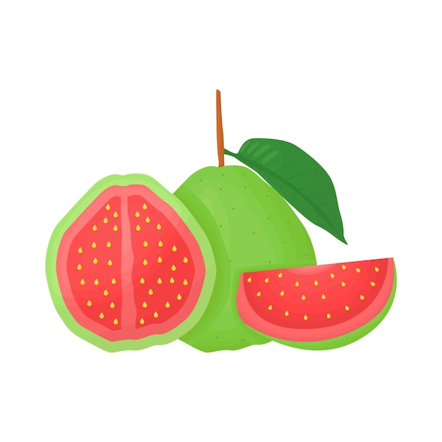 Vector ilustración de la guayaba