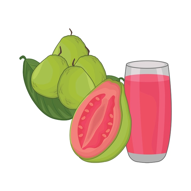 Ilustración de la guayaba