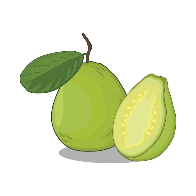 Ilustración de la guayaba