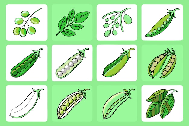 Ilustración de guisantes verdes Gráficos vectoriales dibujados a mano para niños Alimentos