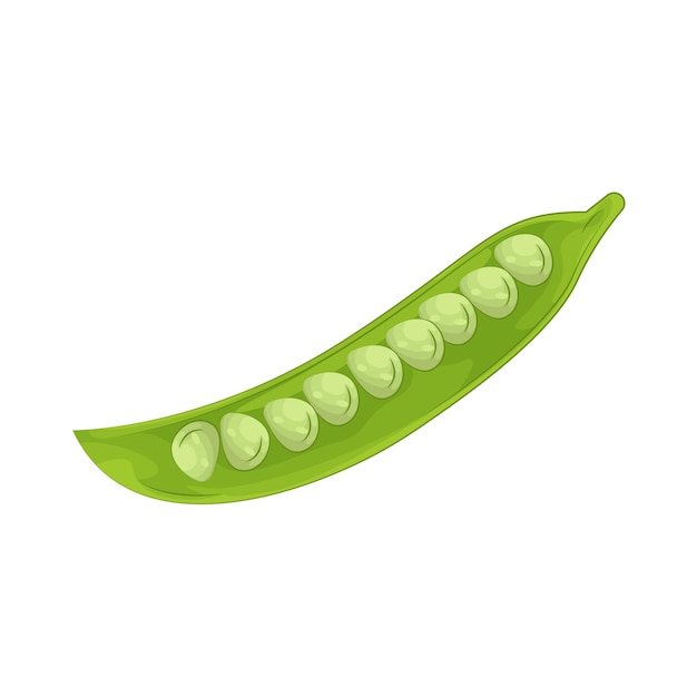 Ilustración de los guisantes
