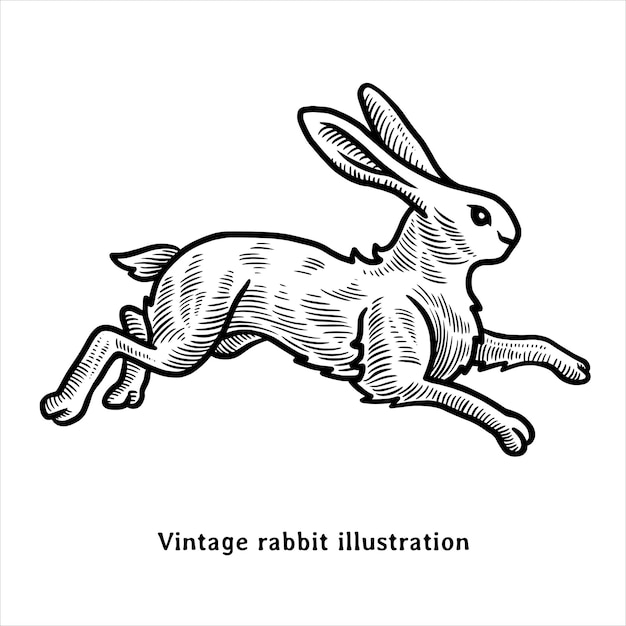 Ilustración heráldica de conejo dibujada a mano en estilo vintage