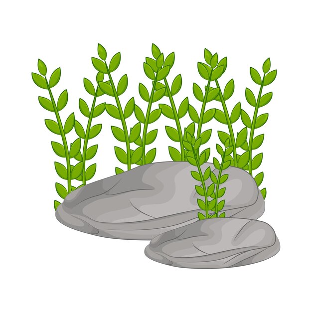 Vector ilustración de la hierba