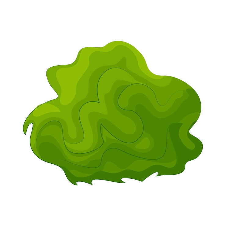 Vector ilustración de hierba