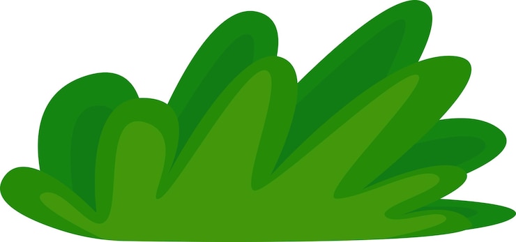 Vector ilustración de hierba