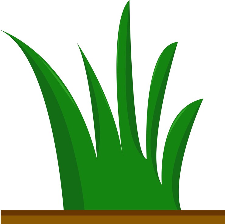 Vector ilustración de la hierba
