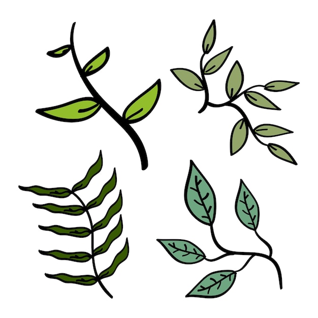 Ilustración de hoja dibujada a mano