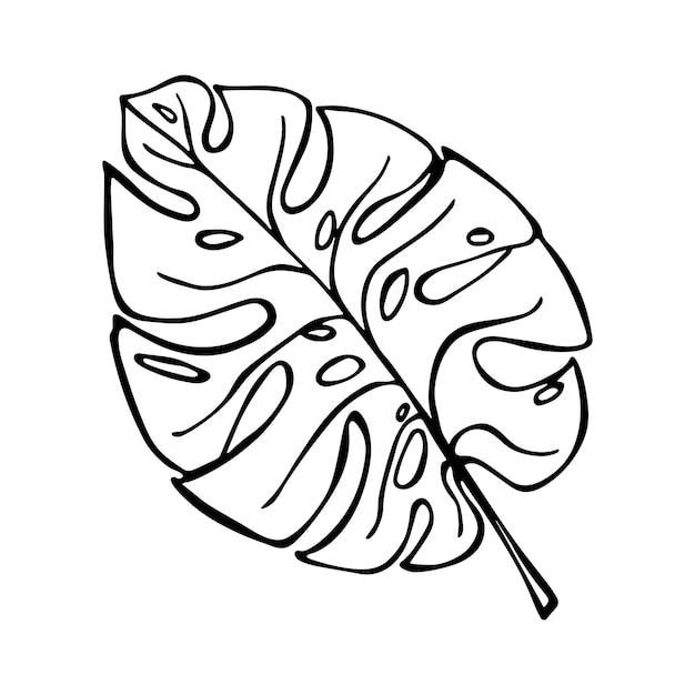 Vector ilustración de hoja de monstera tropical simple clipart vectorial dibujado a mano garabato botánico