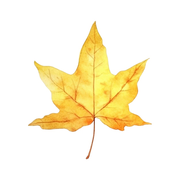 Ilustración de hoja de otoño acuarela