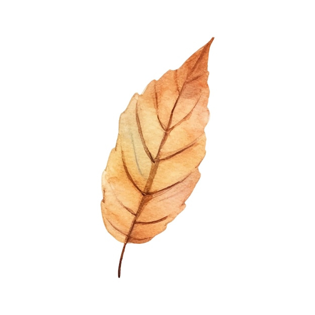 Ilustración de hoja de otoño acuarela