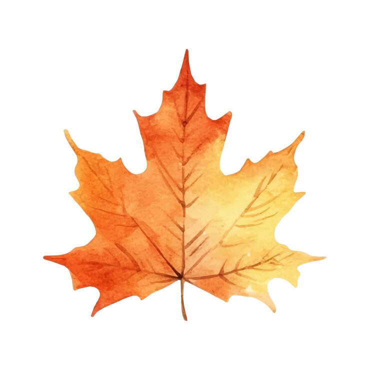 Vector ilustración de hoja de otoño acuarela