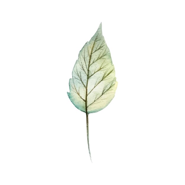 Ilustración de hoja de otoño acuarela