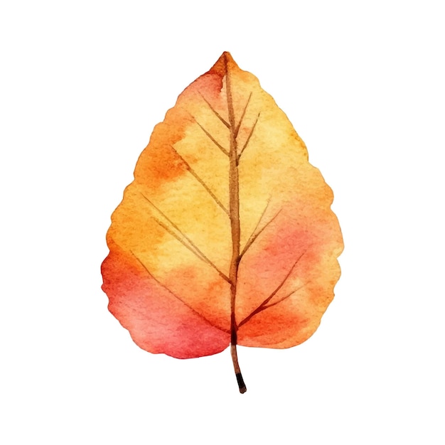 Ilustración de hoja de otoño acuarela