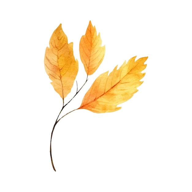 Ilustración de hoja de otoño acuarela
