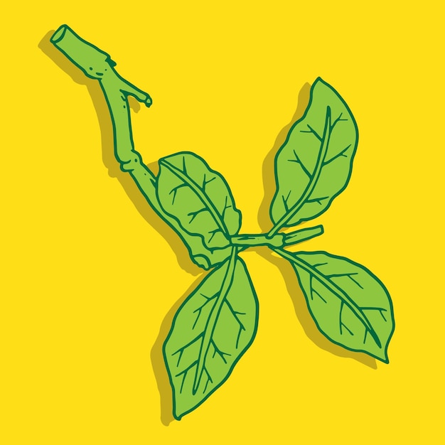Vector ilustración de hoja simple para cartel de logotipo de patren