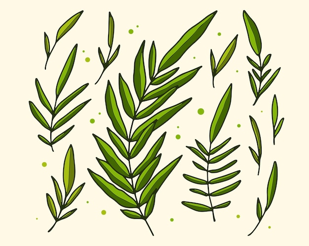 Ilustración de hoja tropical dibujada a mano