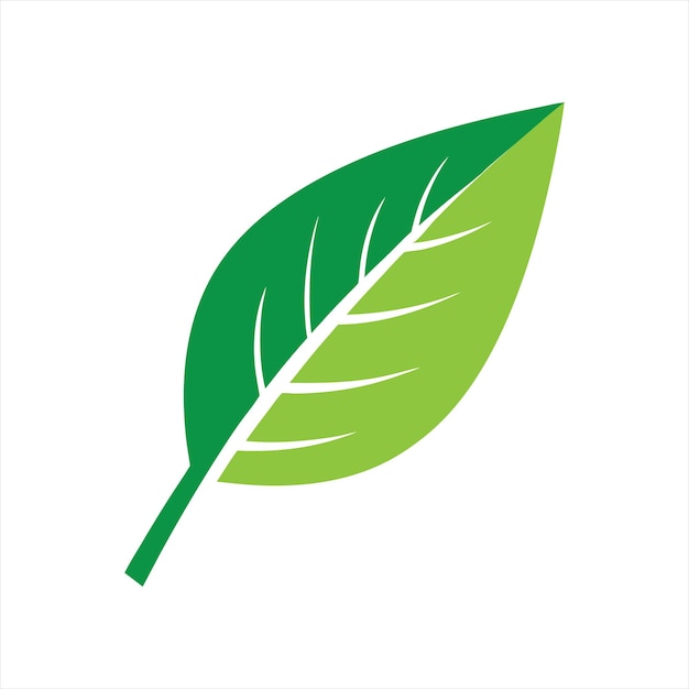 Ilustración de la hoja verde