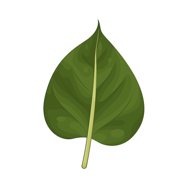 ilustración de la hoja