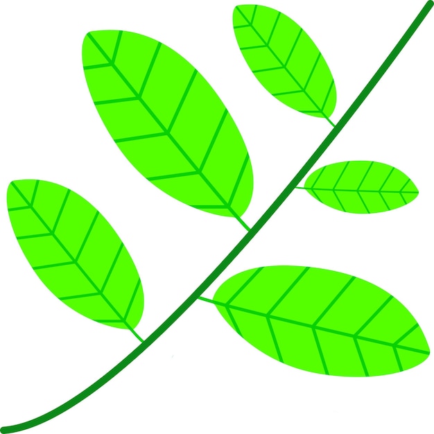 Ilustración de una hoja