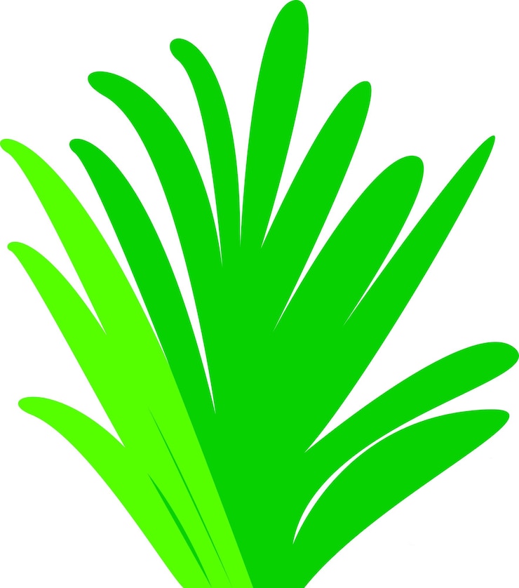 Vector ilustración de una hoja