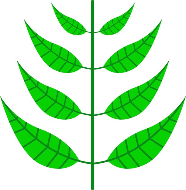 Ilustración de una hoja