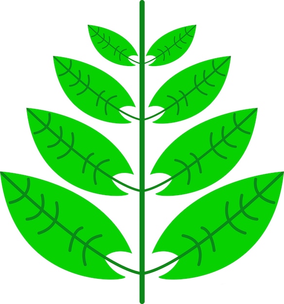 Ilustración de una hoja