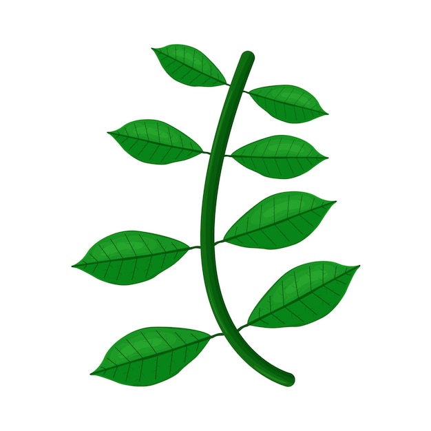 Ilustración de una hoja