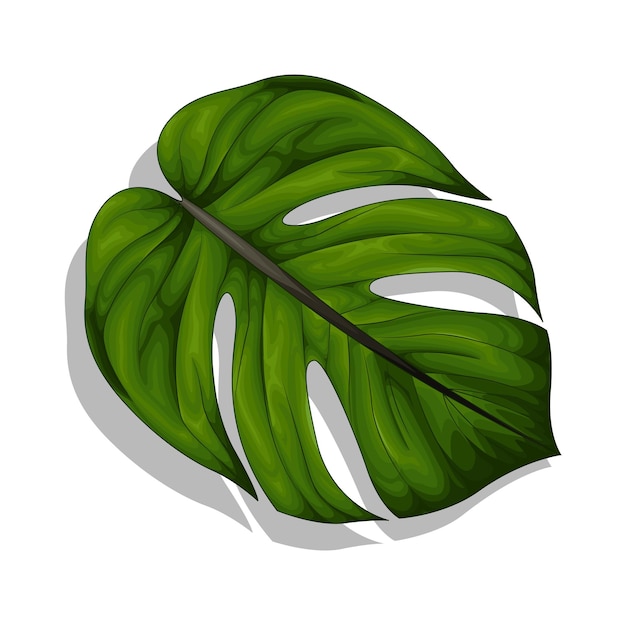 Ilustración de una hoja