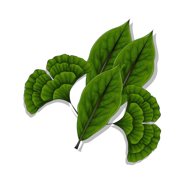 Ilustración de una hoja
