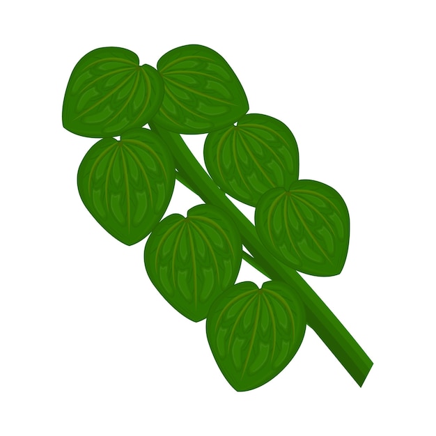 Ilustración de una hoja
